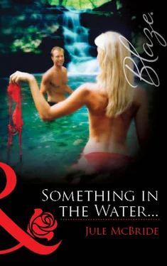 Jule Mcbride Something In The Water… обложка книги