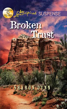 Sharon Dunn Broken Trust обложка книги