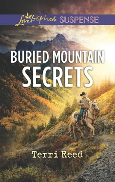 Terri Reed Buried Mountain Secrets обложка книги