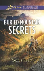 Terri Reed - Buried Mountain Secrets