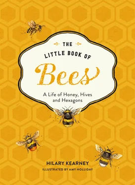 Hilary Kearney The Little Book of Bees обложка книги