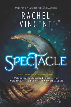 Rachel Vincent Spectacle обложка книги