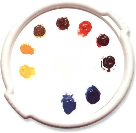 Place generous amounts of your colours evenly spaced around the edge of the - фото 10