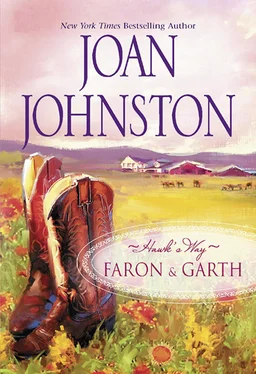 Joan Johnston Hawk's Way Collection: Faron And Garth обложка книги