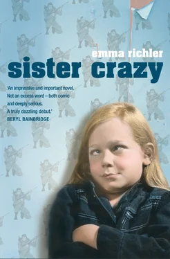 Emma Richler Sister Crazy обложка книги