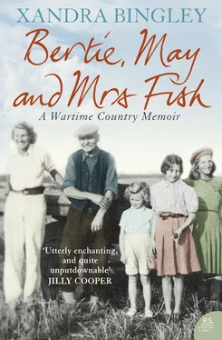 Xandra Bingley Bertie, May and Mrs Fish обложка книги