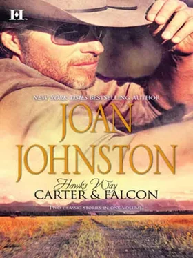 Joan Johnston Hawk's Way: Carter & Falcon