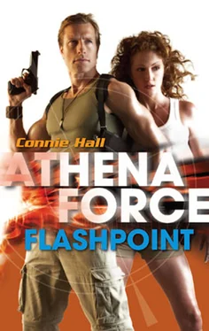 Connie Hall Flashpoint обложка книги