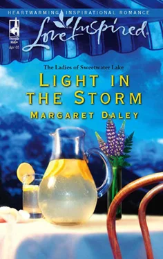 Margaret Daley Light in the Storm обложка книги