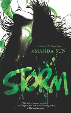 Amanda Sun Storm обложка книги