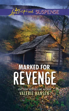 Valerie Hansen Marked For Revenge обложка книги