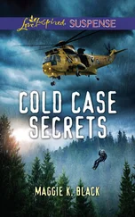 Maggie K. Black - Cold Case Secrets