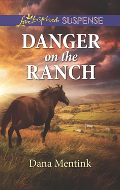 Dana Mentink Danger On The Ranch обложка книги