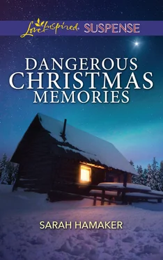 Sarah Hamaker Dangerous Christmas Memories обложка книги