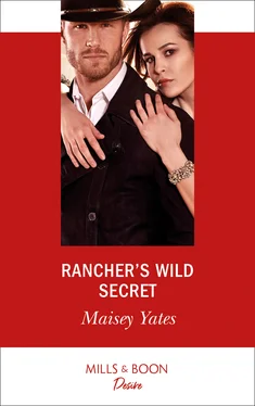 Maisey Yates Rancher's Wild Secret обложка книги