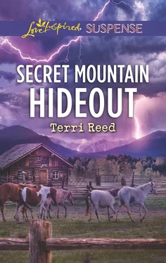 Terri Reed Secret Mountain Hideout обложка книги