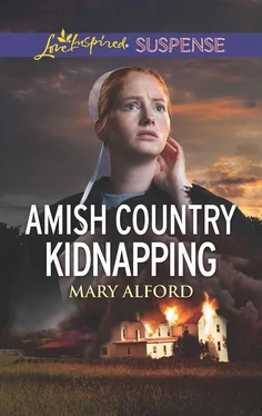 Mary Alford Amish Country Kidnapping обложка книги