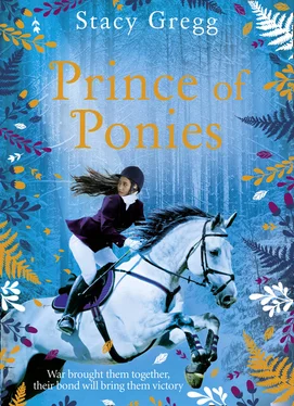 Stacy Gregg Prince of Ponies обложка книги