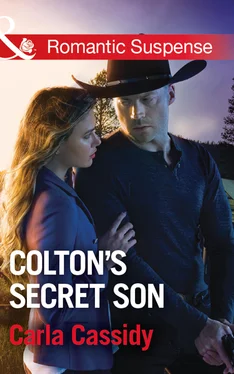 Carla Cassidy Colton's Secret Son обложка книги