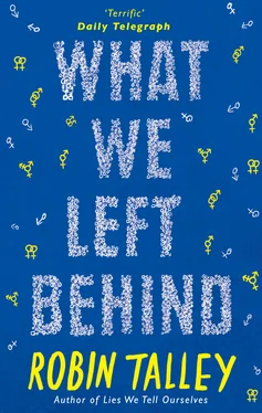 Robin Talley What We Left Behind обложка книги