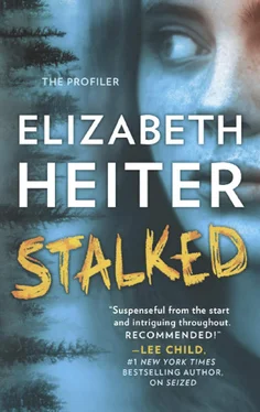 Elizabeth Heiter Stalked обложка книги