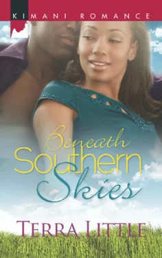 Terra Little Beneath Southern Skies обложка книги