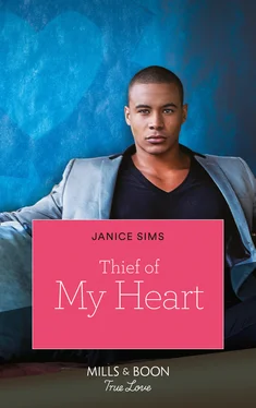 Janice Sims Thief of My Heart обложка книги