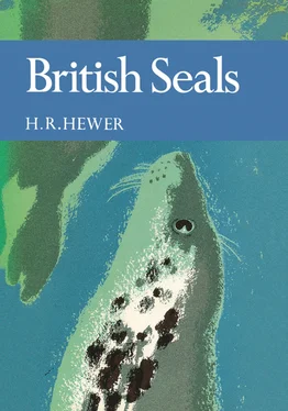 H. R. Hewer British Seals обложка книги