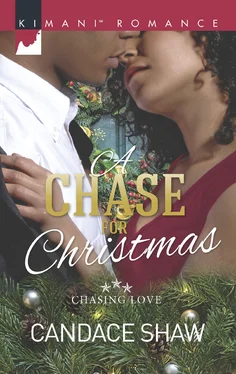 Candace Shaw A Chase For Christmas обложка книги