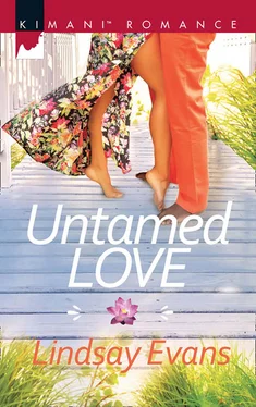 Lindsay Evans Untamed Love обложка книги