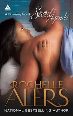 Rochelle Alers Secret Agenda обложка книги