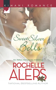 Rochelle Alers Sweet Silver Bells обложка книги