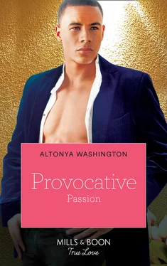 AlTonya Washington Provocative Passion обложка книги