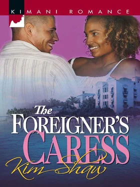 Kim Shaw The Foreigner's Caress обложка книги