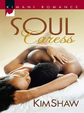 Kim Shaw Soul Caress обложка книги