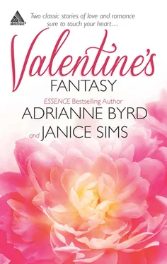 Janice Sims Valentine's Fantasy обложка книги
