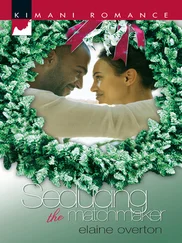 Elaine Overton - Seducing the Matchmaker