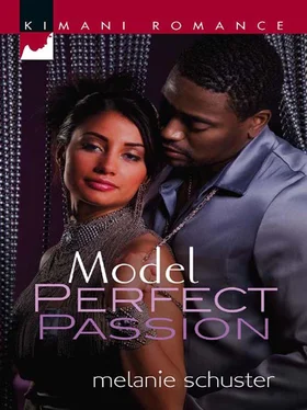 Melanie Schuster Model Perfect Passion обложка книги