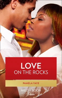 Pamela Yaye Love on the Rocks обложка книги