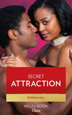 Donna Hill Secret Attraction