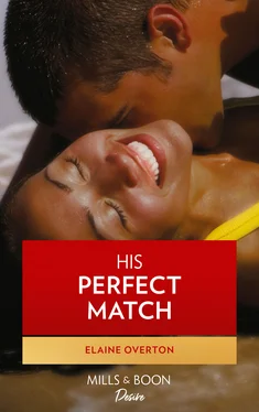 Elaine Overton His Perfect Match обложка книги