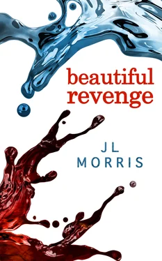 J L Morris Beautiful Revenge обложка книги