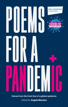 Неизвестный Автор Poems for a Pandemic обложка книги