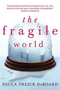 Paula Treick DeBoard The Fragile World обложка книги
