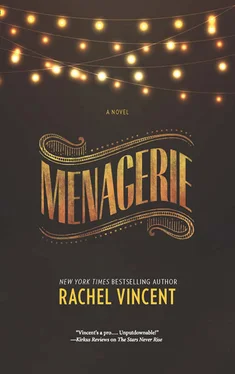 Rachel Vincent Menagerie обложка книги