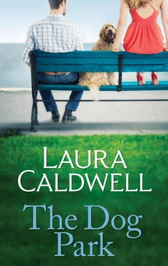 Laura Caldwell The Dog Park обложка книги