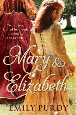 Emily Purdy Mary & Elizabeth обложка книги