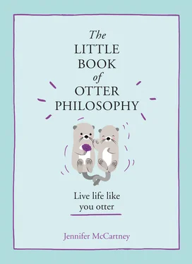 Jennifer McCartney The Little Book of Otter Philosophy обложка книги