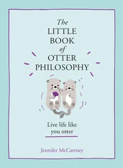 Jennifer McCartney - The Little Book of Otter Philosophy
