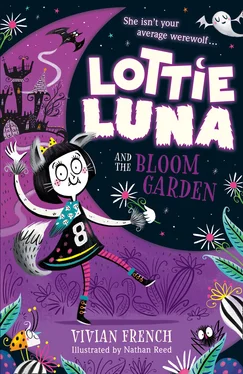 Vivian French Lottie Luna and the Bloom Garden обложка книги